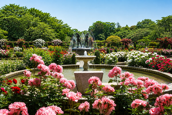 里見公園